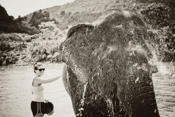 elephants_washing